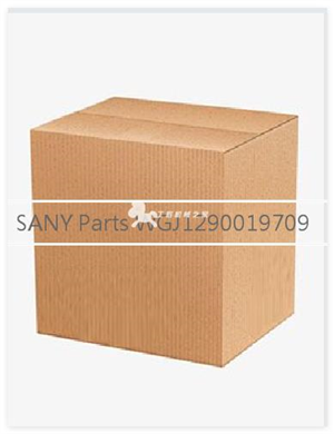  SANY Parts WGJ1290019709 Thermostat 