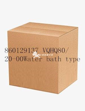 860129137 VQHQ80/20-00Water bath type vaporizer 