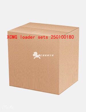 XCMG loader sets 250100180