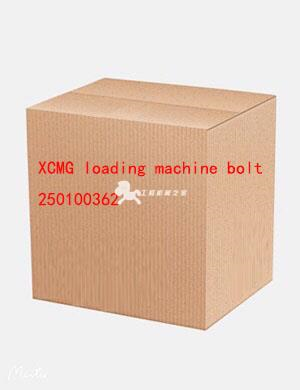 XCMG loading machine bolt 250100362