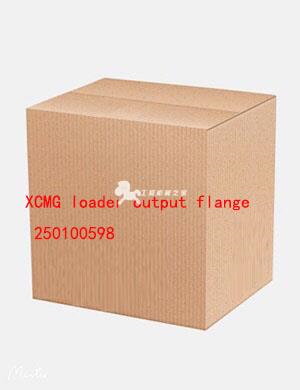 XCMG loader output flange 250100598