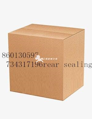 860130597 734317196rear sealing ring