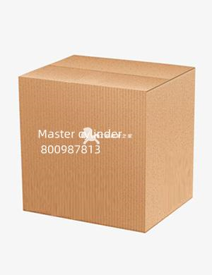 Master cylinder 800987813