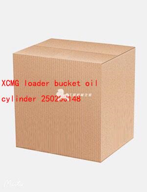 XCMG loader bucket oil cylinder 250200148