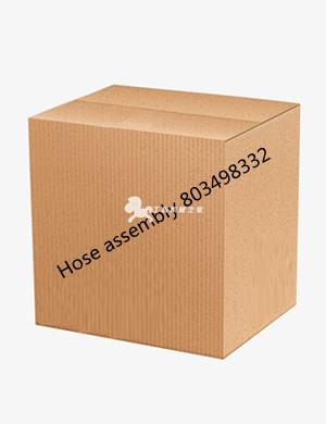 Hose assembly 803498332