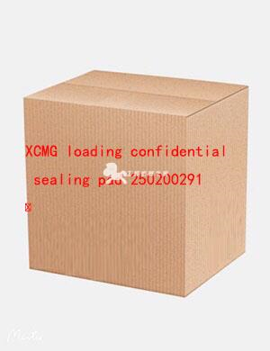 XCMG loading confidential sealing pad 250200291 ﻿