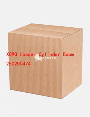 XCMG Loader Cylinder Boom 250200474