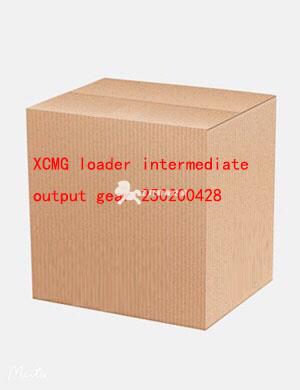 XCMG loader intermediate output gear 250200428