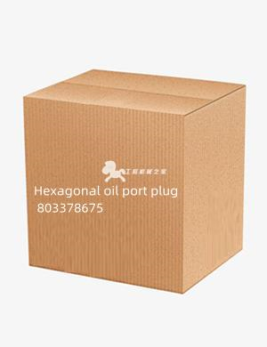 Hexagonal oil port plug 803378675