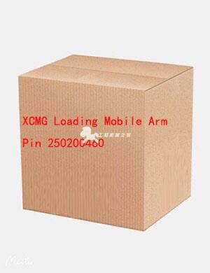 XCMG Loading Mobile Arm Pin 250200460