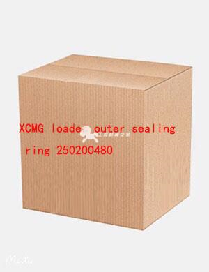 XCMG loader outer sealing ring 250200480
