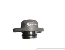 EN name Actuator Cap  Part No. 5255518  