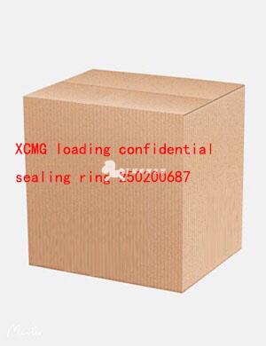 XCMG loading confidential sealing ring 250200687