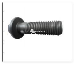 CN name Screw  Part No. 3093940