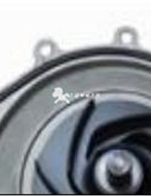 EN name Water Pump Part No. 5269784/5269897 