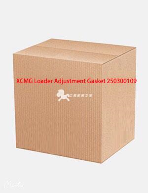 XCMG Loader Adjustment Gasket 250300109