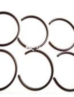 CN name retaining ring Part No.5272201/4976250  