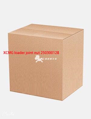 XCMG loader joint nut 250300128