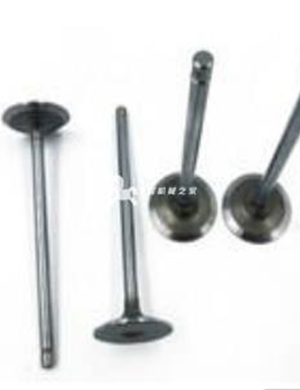 CN name intake valve Part No.5261320/5308264