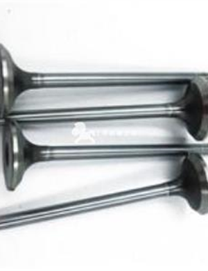   CN name Exhaust valve Part No.5256949/5308265 