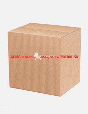 XCMG loader tightening screw 250300158