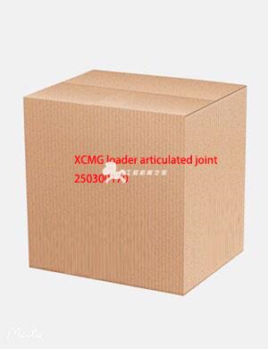 XCMG loader articulated joint 250300170