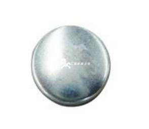 Name Expansion plug Part No. 3900956