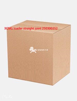 XCMG loader straight joint 250300252
