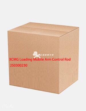 XCMG Loading Mobile Arm Control Rod 250300230