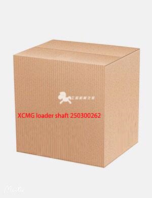 XCMG loader shaft 250300262
