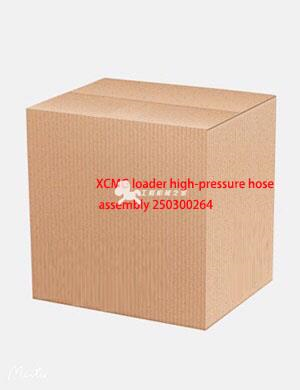 XCMG loader high-pressure hose assembly 250300264