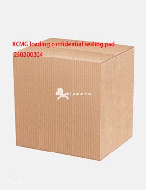XCMG loading confidential sealing pad 250300304