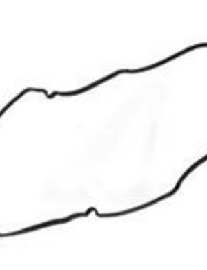  CN name Valve chamber gasket Part No. 5255312
