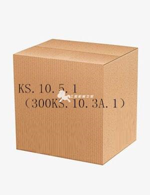 KS.10.5.1（300KS.10.3A.1）
