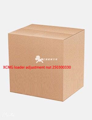 XCMG loader adjustment nut 250300330