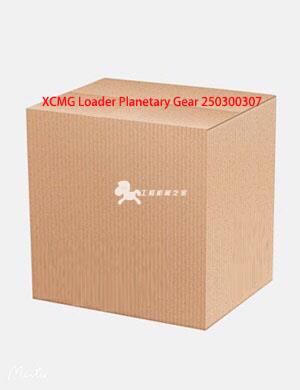 XCMG Loader Planetary Gear 250300307