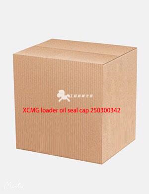 XCMG loader oil seal cap 250300342
