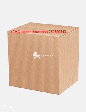 XCMG loader thrust bolt 250300343