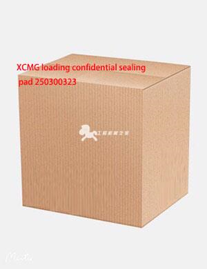 XCMG loading confidential sealing pad 250300323