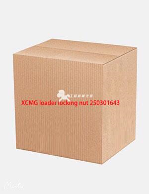 XCMG loader locking nut 250301643