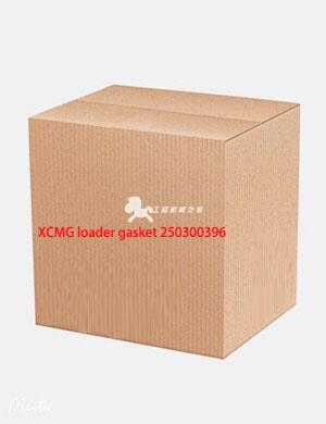 XCMG loader gasket 250300396