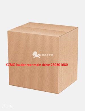 XCMG loader rear main drive 250301680