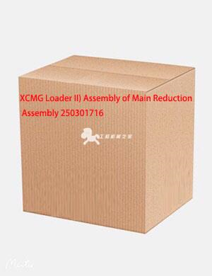 XCMG Loader II) Assembly of Main Reduction Assembly 250301716
