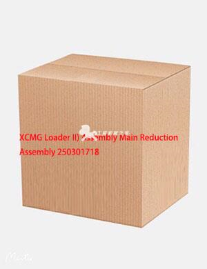 XCMG Loader II) Assembly Main Reduction Assembly 250301718