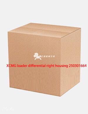 XCMG loader differential right housing 250301664