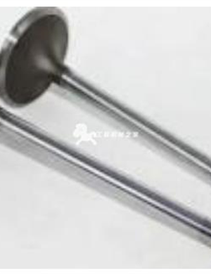 CN name intake valve Part No. 3924492 