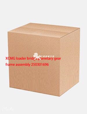 XCMG loader bridge planetary gear frame assembly 250301696
