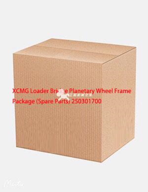 XCMG Loader Bridge Planetary Wheel Frame Package (Spare Parts) 250301700