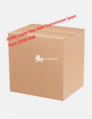 XCMG Loader Rear Main Transmission Spare Parts 250301848