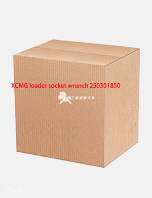 XCMG loader socket wrench 250301850